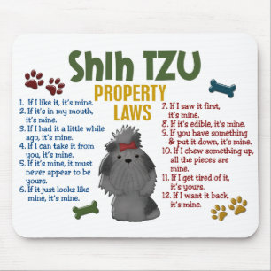Shih Tzu egendomlagar 4 Musmatta