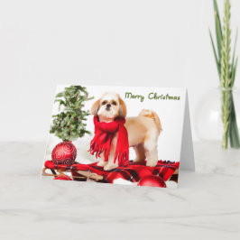 Shih Tzu (fäst ihop lag) julkort Helgkort