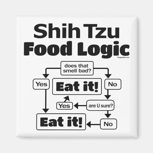 Shih Tzu Food Logic Magnet (Framsidan)