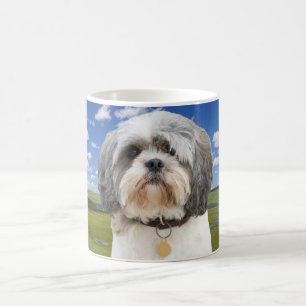 Shih Tzu fotomugg Kaffemugg