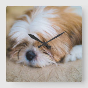 Shih Tzu Fyrkantig Klocka
