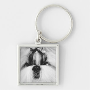 Shih Tzu Fyrkantig Silverfärgad Nyckelring