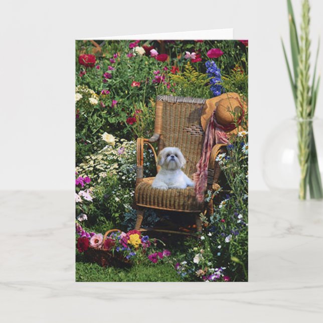Shih Tzu Garden Card Kort (Framsida)