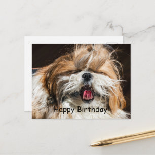 Shih tzu gäspande tunga rolig söt Grattis på födel Vykort