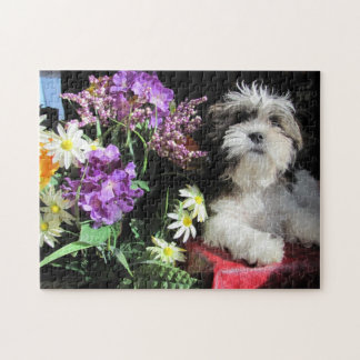 SHIH TZU! … gazuntite. Pussel