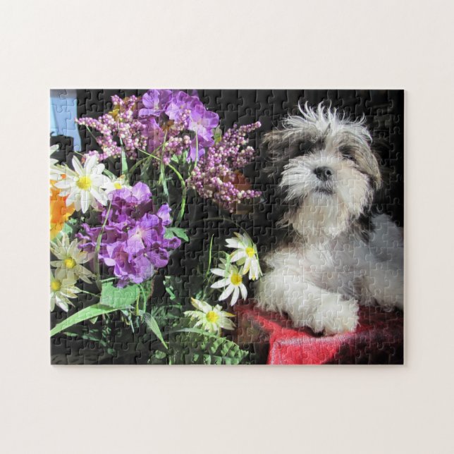 SHIH TZU! … gazuntite. Pussel (Horisontell)
