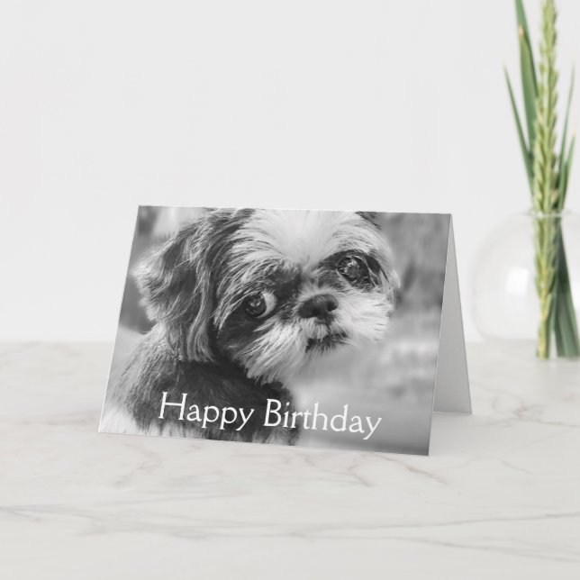 Shih Tzu Girl Black and White Greeting Card Kort (Framsida)
