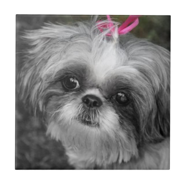 Shih Tzu Girl Ceramic Tile Kakelplatta (Framsidan)
