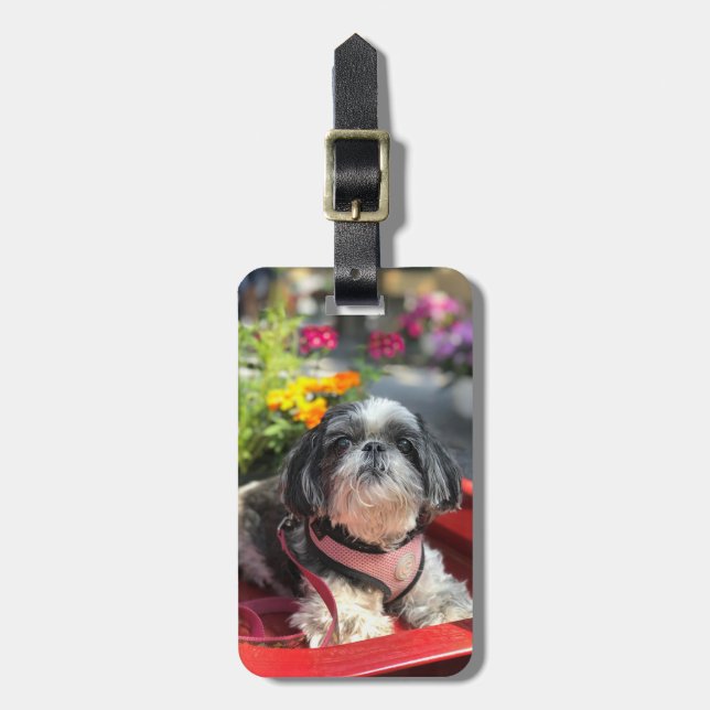 Shih Tzu Girl Luggage Tag Bagagebricka (Vertikal Framsida)