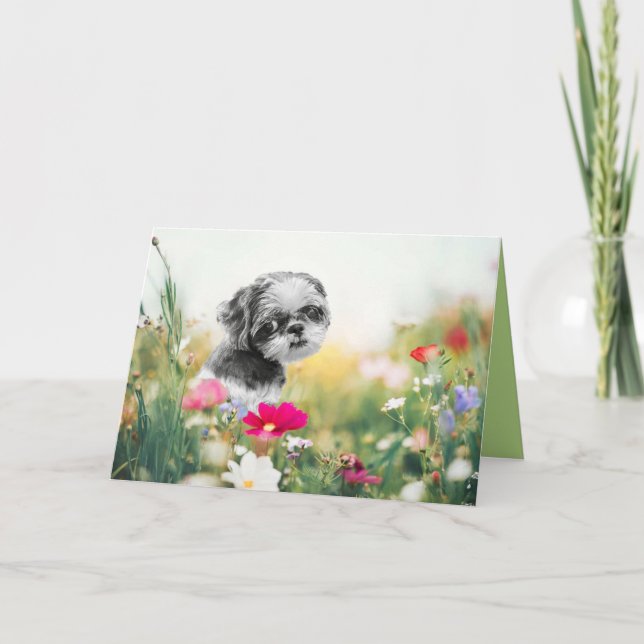 Shih Tzu Girl och Flower Fält Greeting Card Helgkort (Framsida)