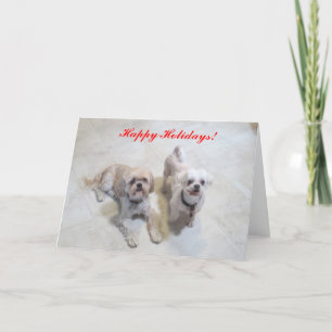 Shih Tzu glad helgkort