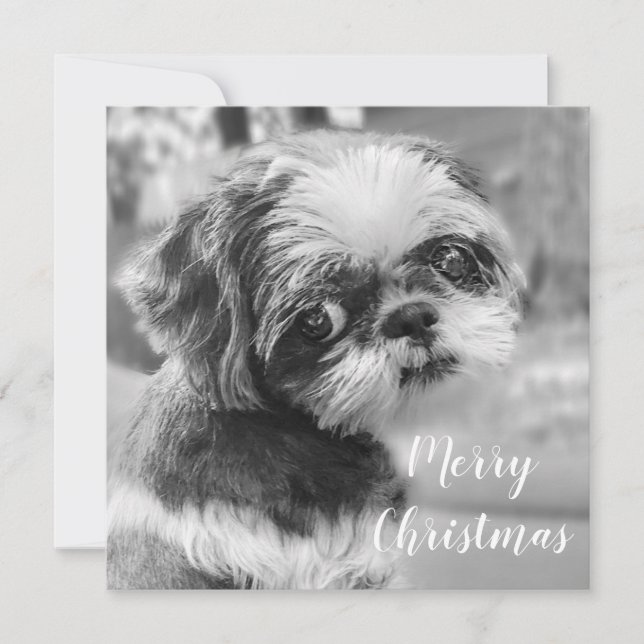 Shih Tzu God jul vycard Julkort (Framsida)