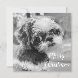 Shih Tzu God jul vycard Julkort