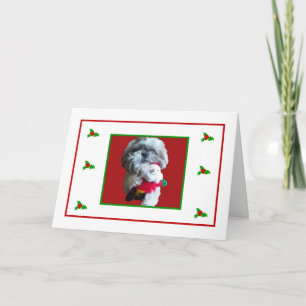 Shih Tzu god julkort Helgkort