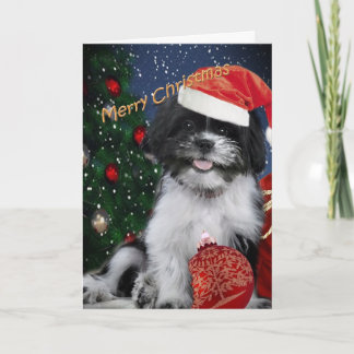 Shih Tzu god julkort Helgkort