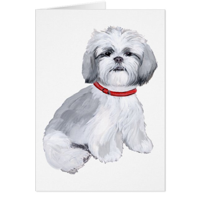 Shih Tzu Grått & White Hälsningskort (Framsidan)