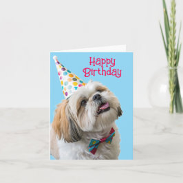 Shih Tzu Grattis på födelsedagen Kort