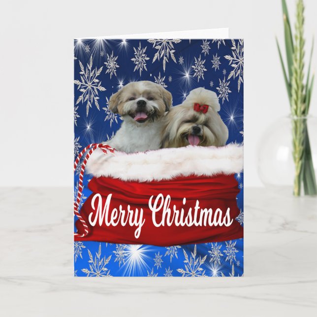 Shih tzu Greeting Card jul Helgkort (Framsida)