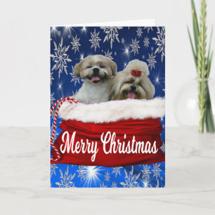 Shih tzu Greeting Card jul Helgkort