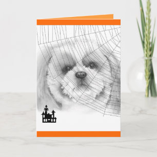 Shih Tzu Halloween kort