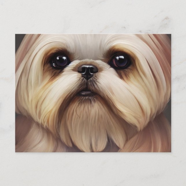 Shih Tzu Hälsning vycard Vykort (Framsida)