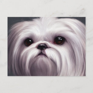 Shih Tzu Hälsning vycard Vykort
