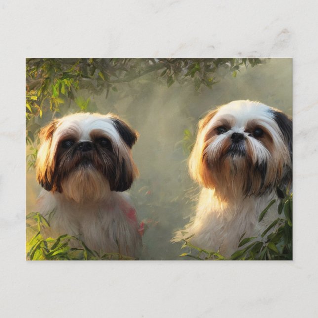 Shih Tzu Hälsning vycard Vykort (Framsida)