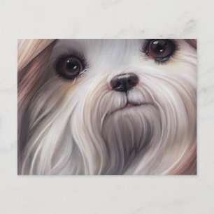 Shih Tzu Hälsning vycard Vykort