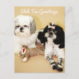 Shih Tzu Hälsning Vykort