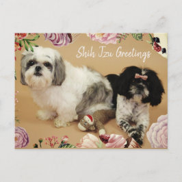 Shih Tzu Hälsning Vykort