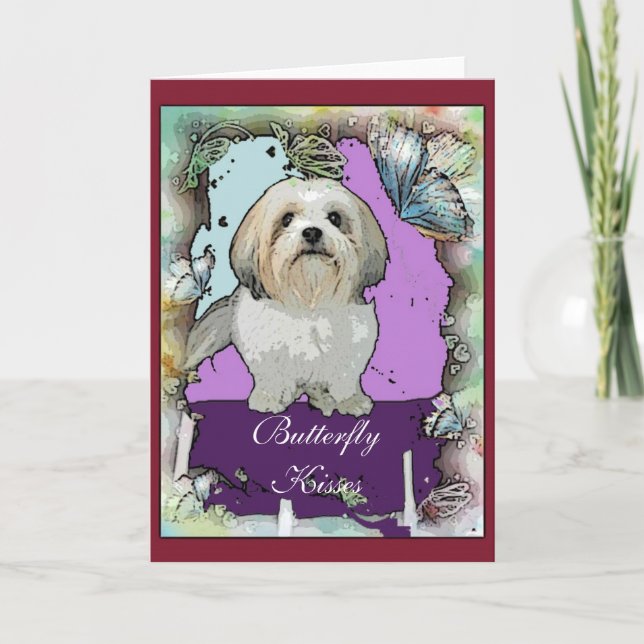 Shih Tzu hälsningkort Kort (Framsida)