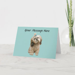 Shih Tzu hälsningkort Kort