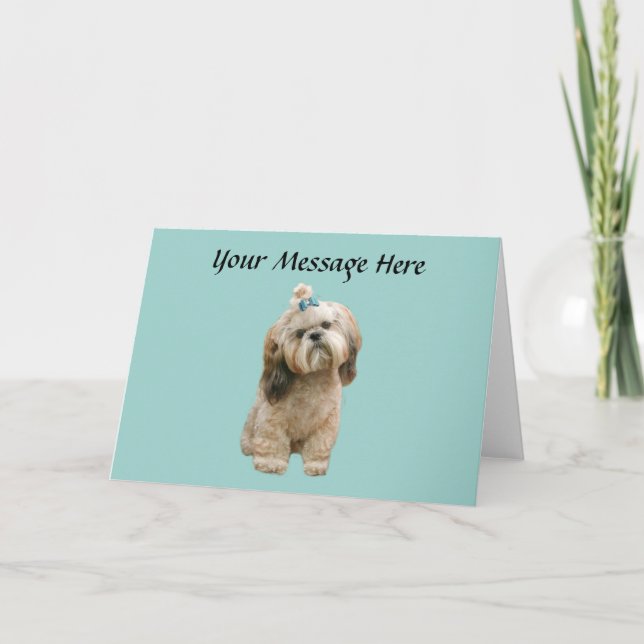 Shih Tzu hälsningkort Kort (Framsida)