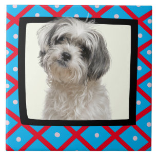 Shih Tzu har anpassat fotot med ram Ceramic Tile Kakelplatta