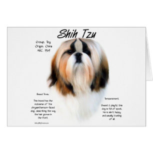 Shih Tzu-historikdesign Hälsningskort