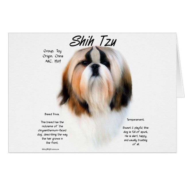 Shih Tzu-historikdesign Hälsningskort (Framsidan Horizontal)
