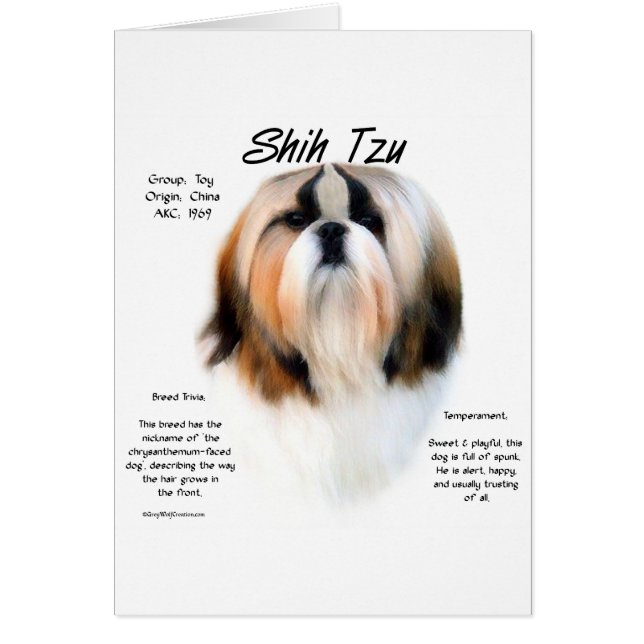 Shih Tzu-historikdesign Hälsningskort (Framsidan)