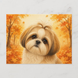 Shih Tzu Höst Skog Hund Vykort