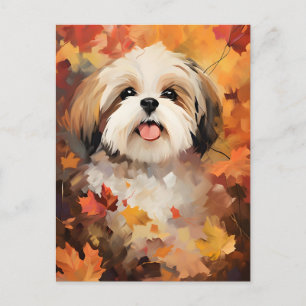 Shih Tzu Höst Tacksgiving Vykort