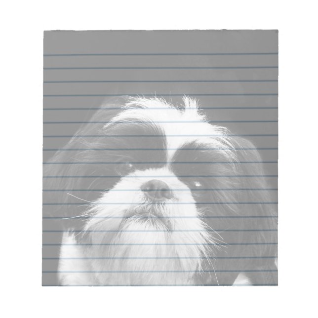 Shih Tzu hund anteckningsblock (Framsida)