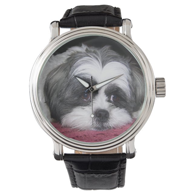 Shih Tzu Hund Armbandsur (Framsida)