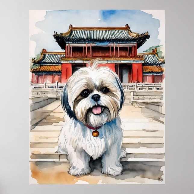 Shih Tzu - Hund Art Print Poster (Framsidan)