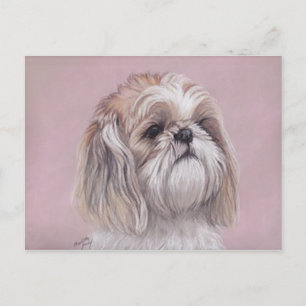 Shih tzu Hund Art-vykort Vykort