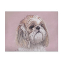 Shih tzu Hund Art-vykort