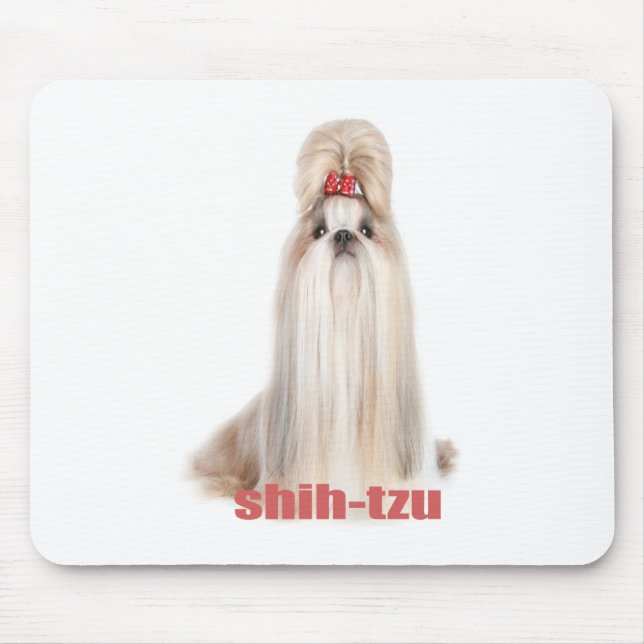 shih-tzu hund avelnシーズー - シーズー犬の品種 musmatta (Framsidan)