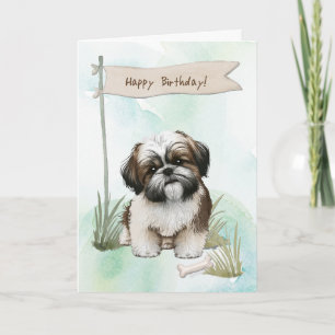 Shih Tzu Hund aveln utomhus under födelsedagsskylt Kort