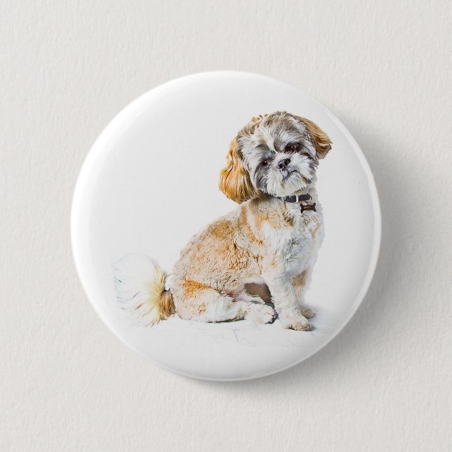 Shih Tzu Hund Button Badge Knapp (Framsida)