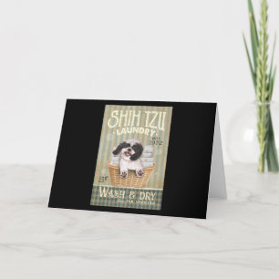 Shih Tzu Hund Cute Shih Tzu Life Puppy Tzu Tack Kort