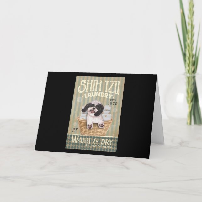 Shih Tzu Hund Cute Shih Tzu Life Puppy Tzu Tack Kort (Framsida)