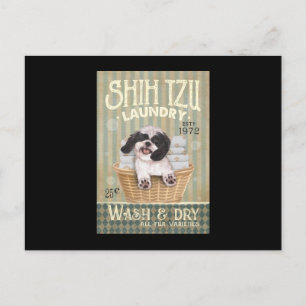 Shih Tzu Hund Cute Shih Tzu Life Puppy Tzu Vykort